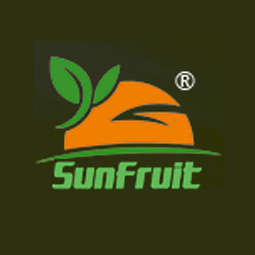 山东盛安国际贸易有限公司logo 山东盛安国际贸易有限公司logo